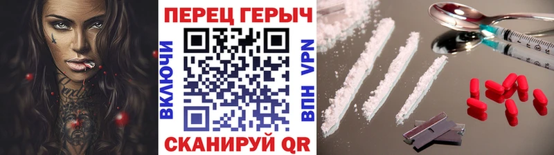 ГЕРОИН хмурый Кедровый
