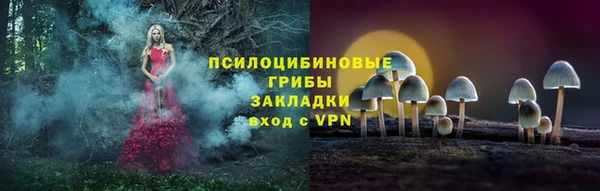 меф Корсаков
