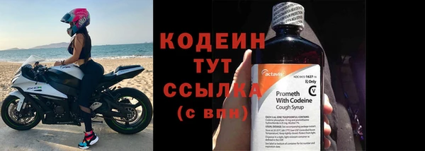 мдпв Ивангород
