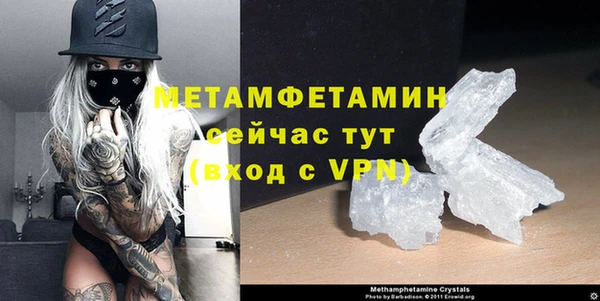 прущие грибы Козловка