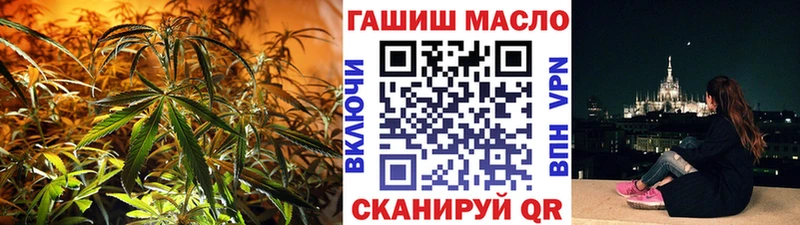 гидра как зайти  Кедровый  Дистиллят ТГК Wax 