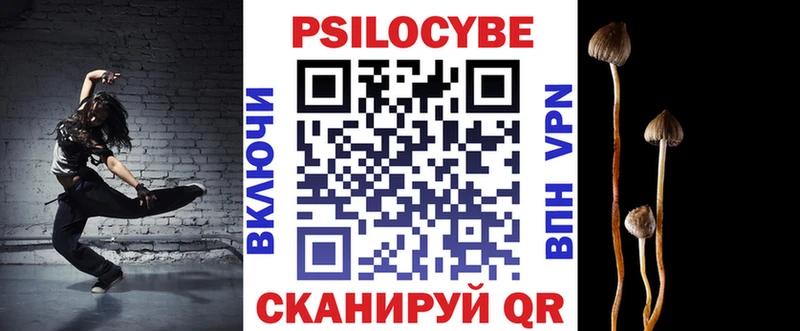 Псилоцибиновые грибы Cubensis  mega зеркало  Кедровый 